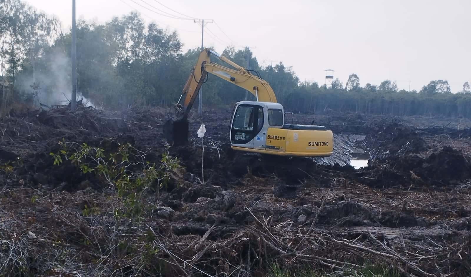 Những líp đất đầu tiên được đắp cao lên khỏi mặt nước