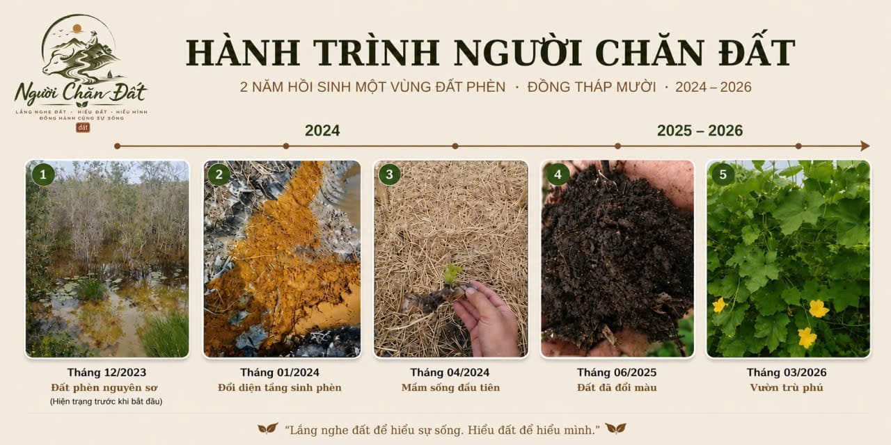Bảng tóm tắt hành trình Người Chăn Đất: năm ảnh theo dòng thời gian, từ đất phèn nguyên sơ tháng 12/2023, tầng sinh phèn tháng 01/2024, mầm sống đầu tiên tháng 04/2024, đất đã đổi màu tháng 06/2025, đến vườn trù phú tháng 03/2026